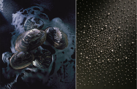 Our Connection With Jewelry: The Pearls and Diamonds Within