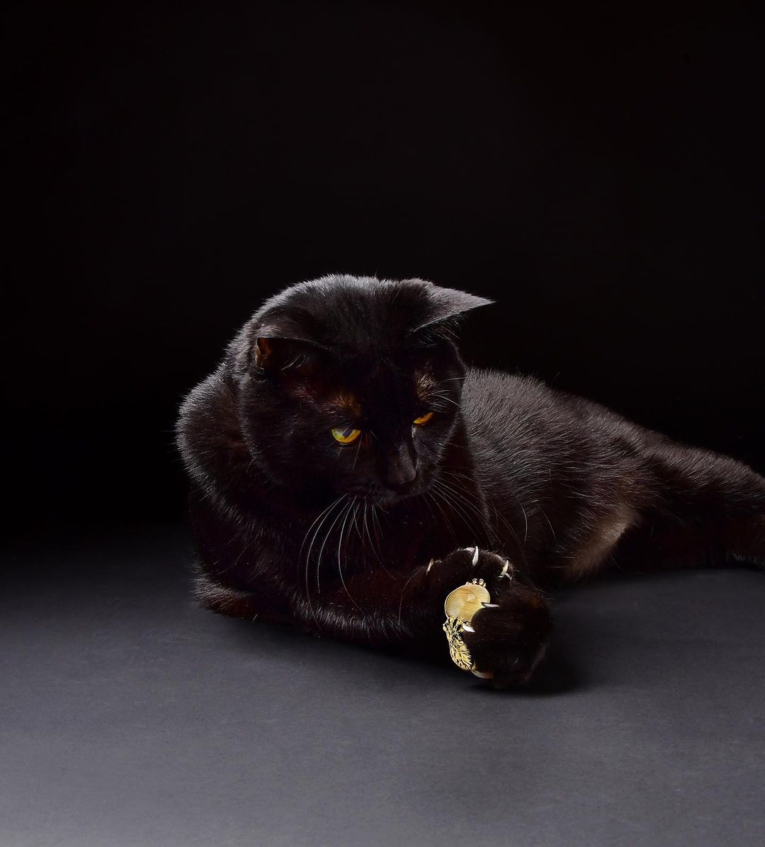 Bling with a Bite: How Symbolic Jewelry Can Unleash Your Inner Power