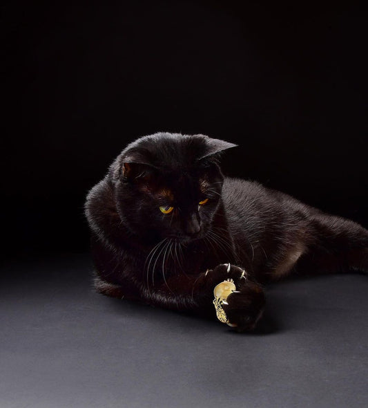 Bling with a Bite: How Symbolic Jewelry Can Unleash Your Inner Power